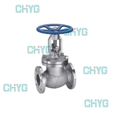 API American standard flange globe valve
