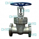 Titanium valve