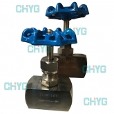 Titanium type needle valve