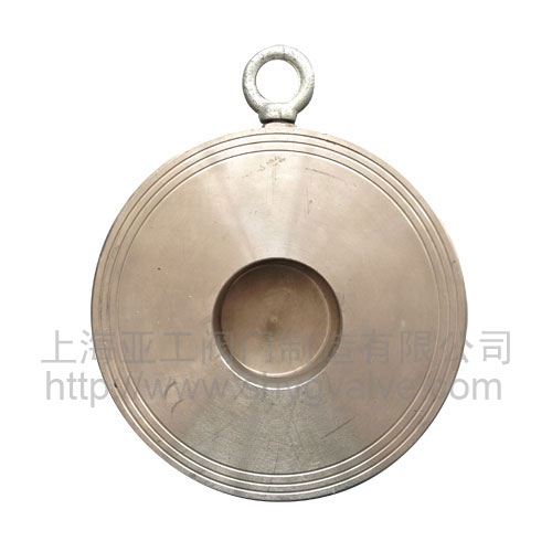 Single titanium type check valve 1